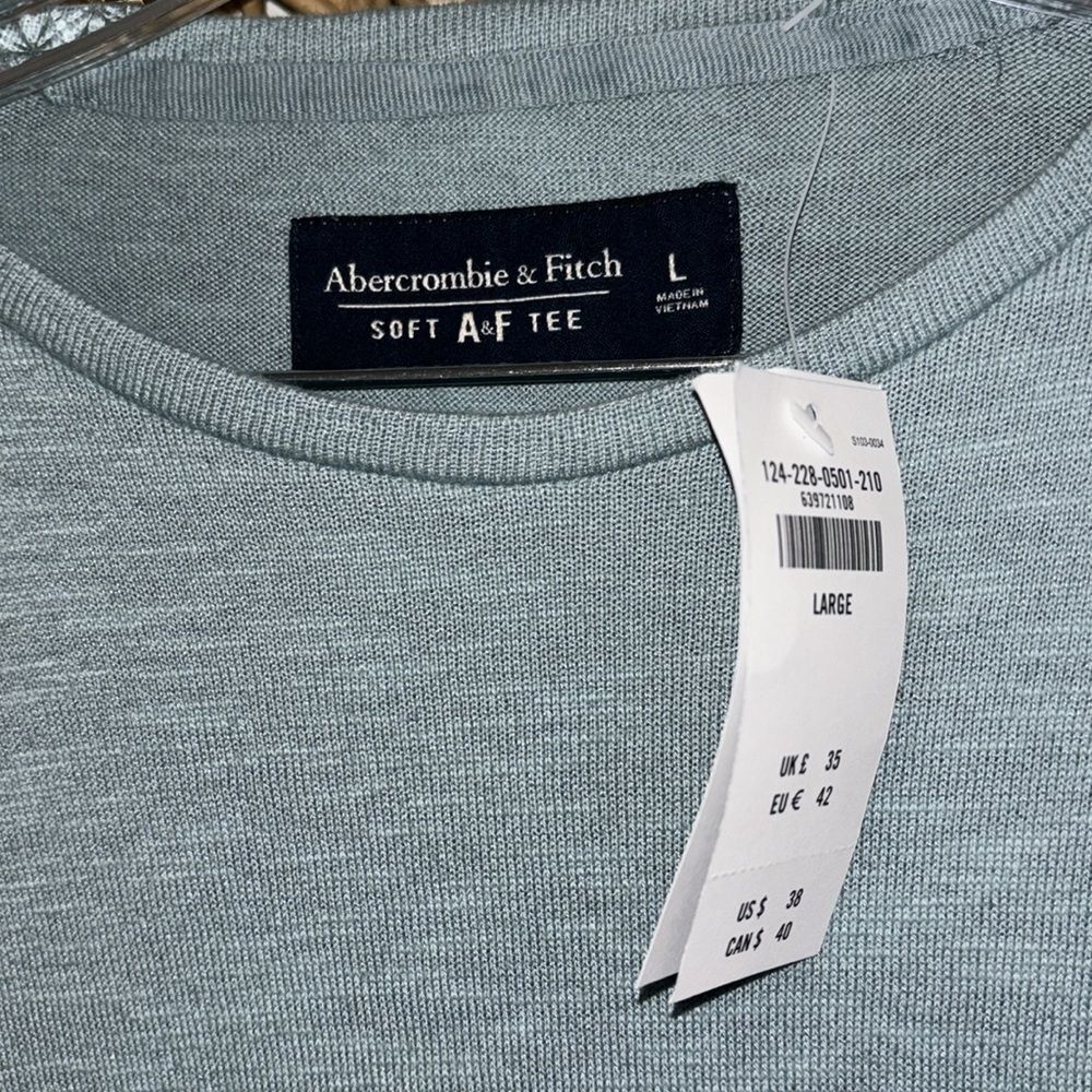 Abercrombie & Fitch soft tee seafoam green size large new with tags - Picture 2 of 4